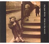 JAZZ DEVILS - WHAT IN THE WORLD [UK Import]