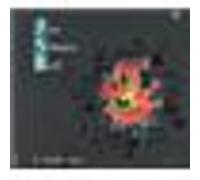 Jazz Sebastian Bach 1