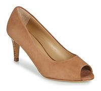 JB Martin Chaussures escarpins PARMINA in Marron 40