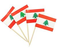 JBCD Lot de 200 cure-dents avec drapeau du Liban - Décorations de cupcakes, cure-dents pour cocktail, gâteau, mini drapeau