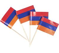 JBCD Lot de 200 mini drapeaux arméniens cure-dents pour cupcakes