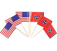 JBCD Lot de 200 pics à dents en forme de drapeau américain et Tennessee pour décoration de cupcakes, cocktails, drapeaux américains, mini drapeaux