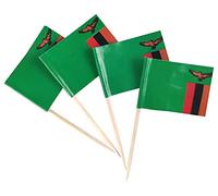 JBCD Lot de 200 pics à dents en forme de drapeau de la Zambie pour cupcakes