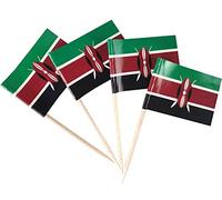 JBCD Lot de 200 pics à dents en forme de drapeau du Kenya pour décoration de cupcakes, cocktail, drapeaux Kenyan