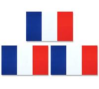 JBCD Lot de 3 autocollants aimantés drapeau français français pour voiture SUV camion 7,6 x 12,7 cm
