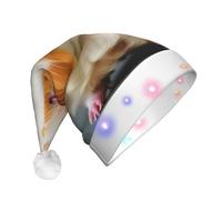 JBJGKHLP Chapeau de Noël à LED pour adulte avec imprimé cochon d'Inde