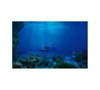 JBJYGSG Autocollant d'arrière-Plan for Aquarium Bleu Profond pour Aquariophilie(50x80cm)