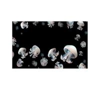 JBJYGSG Autocollant de Fond d'aquarium, Affiche, décoration, Papier Peint Autocollant pour Aquariophilie(41x 122cm)