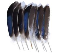 JBJYGSG Paon Faisan Plumes Petit Aigle | Plumes de poulet décor d'autruche accessoires artisanaux bricolage création de bijoux(10-15cm-04,20Pcs)