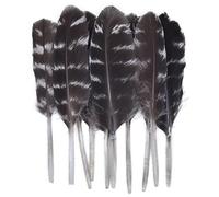 JBJYGSG Paon Faisan Plumes Petit Aigle | Plumes de poulet décor d'autruche accessoires artisanaux bricolage création de bijoux(6-10cm,500Pcs)
