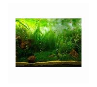 JBJYGSG Papier de Fond for Aquarium, décoration en Papier, Style Herbe Aquatique, Affiche PVC adhésif pour Aquariophilie(91x50cm)