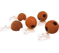 JBL Cocos Cava 1/1L : Coque de noix de coco naturelle pour aquarium et terrarium, Idéale comme lieu de ponte ou cachette pour les poissons et animaux de terrarium