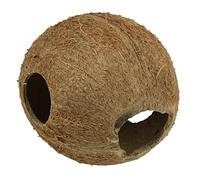 JBL Cocos Cava 1/1M, Coque de noix de coco servant de grotte pour aquariums et terrariums