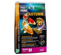 JBL 4124100 Automne Koi, Skin fin pour Wafer, saison doublure, propond d'automne, taille M, 1500 g