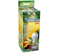 JBL Reptil LED Daylight 13W
