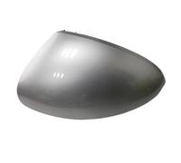 JBPIHZT latérale Rétroviseur Couverture Coque De Protection pour Rétroviseur De Voiture pour VW pour T&IGUAN 2009 2010 2011 2012 2013 2014 2015 2016 Couvercle Rétroviseur(Argent,Gauche)