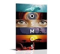 JBQOUOUZ Poster sur toile Cosmos A Spacetime Odyssey Classic Movies Wonderful TV Series Art mural décoratif pour chambre à coucher 40 x 60 cm Style cadre