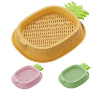 Jcasbdn 3PCS Cat Grass Planter Détachable à Deux Couches Cat Grass Graines Hydroponic Planter 5.4x7 Plastique Panas Graines Spring Plateau Sol Free Plant Planting Box