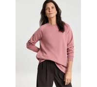 JD Williams JD Williams Pink Classic Longline Crew Neck Sweatshirt
