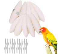JDCMEI 10 Pièces Os de Seiche, 9-12 cm Naturelles Oiseau Seiche, Os de Seiche Jouets à Mâcher, Coquilles de Sépia avec 10 Support pour Oiseaux, Escargots, Reptiles, Calcium et Alimentation Minérale