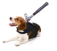 JDNH Costume amusant de taches de sang pour chiens et animaux domestiques, accessoires de vacances, accessoires photo, pour chats et chiens, tenue d'Halloween
