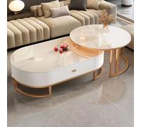 JDPYURV Moderne Table Basse Ovale Plateau en Ardoise Et Table Ronde Plateau en Verre Trempé,Ensemble De 2 Tables Gigogne Tiroir,pour Salon Chambre À Coucher Petits Espaces(A,100+70cm/39.3+27.5in)