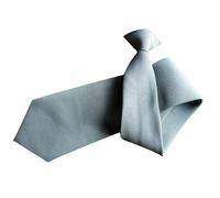 jdstty Cravate pour adolescent et étudiant avec fermeture à clip pour homme - Cravate détachable - Accessoire de costume, gris clair