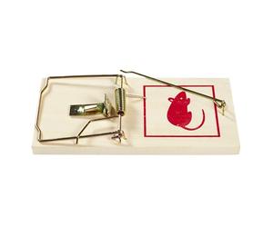 JE CHERCHE UNE IDEE, DI0071, Piège à Rat GM, Efficacité redoutable, Facilité d'utilisation, Sécurité renforcée, Réutilisable et économique, Design Compact et Discret