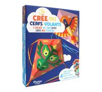 Gaël Le Neillon – Je crée mes cerfs-volants – Document jeunesse – Auzou