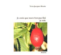 Je Crois Que Tout N'est Pas Fini Je Vole