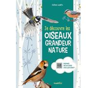 Je découvre les oiseaux grandeur nature - Guilhem Lesaffre - Rusti Kid - broché - Document jeunesse
