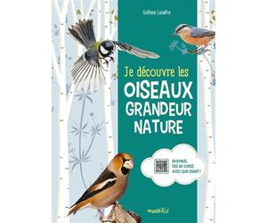 Je découvre les oiseaux grandeur nature - Guilhem Lesaffre - Rusti Kid - broché - Document jeunesse