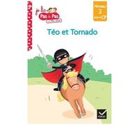 Je Lis Pas À Pas Avec Téo Et Nina - Tome 16 - Zorro Et Tornado - Niveau 2 Milieu De Cp
