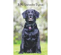 Je Me Souviendrai Toujours: Carnet de Mots de Passe | Labrador Noir Chien | 109 Pages | Pour 432 Entrées | Plus petit que le format A5 | Sans mots sur la couverture du livre | Discret | Déguisé