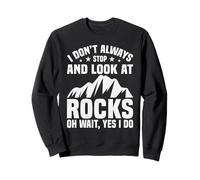 Je n'arrête Pas Toujours de Regarder Rocks Geologist Sweatshirt