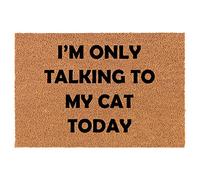 Je Ne Parle Qu'À Mon Chat Aujourd'hui, C'est Drôle Paillasson Exterieur Facile À Nettoyer Paillasson Antidérapant Absorbant Tapis De Porte pour Balcon Accessoires Maison Porte D'Entrée 40 X 60Cm