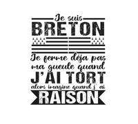Je suis Breton : Carnet de notes humour Bretagne: Je ferme déjà pas ma gueule quand j'ai tort alors imagine quand j'ai raison - Carnet ligné 120 pages, idée cadeau humoristique pour Breton