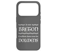 Je suis Breton Excellent dans Tous Les dolmens Humour BZH Coque pour iPhone 17 Pro