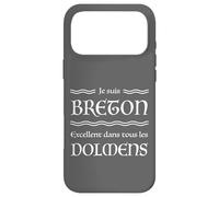 Je suis Breton Excellent dans Tous Les dolmens Humour BZH Coque pour iPhone 17 Pro Max