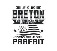 Je Suis Breton Pour Gagner Du Temps Disons Que Je Suis Parfait: Cahier de note | Carnet Ligné | Cadeau pour les hommes qui viennent de Bretagne avec le graphique du drapeau breton