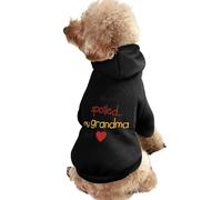 Je suis gâté, ma Grand-mère m'aime Tout Simplement, Sweat à Capuche Chaud pour Chien, Costume Mignon pour Chien, Sweat-Shirt Confortable pour Animaux de Compagnie 2XL