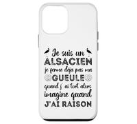 Je suis Un Alsacien Humour Alsace Bas-Rhin 67 Cadeau Coque pour iPhone 12 Mini