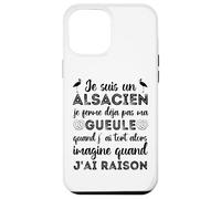 Je suis Un Alsacien Humour Alsace Bas-Rhin 67 Cadeau Coque pour iPhone 12 Pro Max