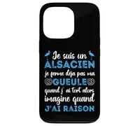 Je suis Un Alsacien Humour Alsace Bas-Rhin 67 Cadeau Coque pour iPhone 13 Pro