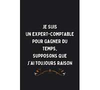 Je Suis Un Expert-comptable Pour Gagner Du Temps, Supposons Que J'ai Raison: Cadeau d'appréciation original et drôle pour un Expert-comptable - Carnet de notes ligné