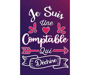 Je Suis Une Comptable Qui Déchire: Cadeau rigolo Pour Une Comptable - Carnet De Notes Ligné Drôle Pour Collègue, Amie, Mère aux anniversaire, Noël, Saint Valentin, Fête des mères, Fin d'année
