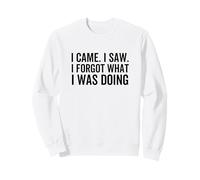 Je suis Venu, J'Ai vu, J'Ai oublié ce Que Je faisais, drôle et Sarcastique Sweatshirt