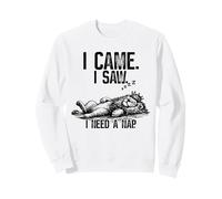 Je suis Venu, J'Ai vu Que J'avais Besoin d'une Sieste, Un Lion drôle, Un Amoureux des Animaux Sweatshirt