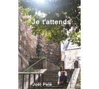 Je t'attends - Joël Pelé - Books On Demand - broché - Roman