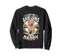 Je Trouve ma Belle Apparence grâce à Daddy Labrador Retriever, Un Amoureux des Chiens Sweatshirt